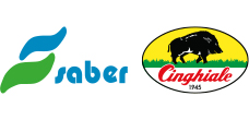 logo partner